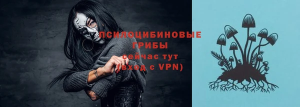 прущий лед Алексеевка