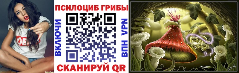 Псилоцибиновые грибы Psilocybe  Томмот 